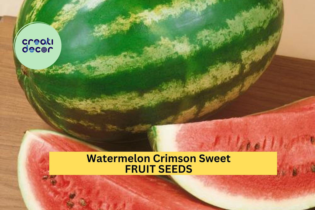 3pcs of 2g Crimson Sweet Watermelon Seeds – Juicy Red Melon, High Yielding, Heat-Tolerant, Perfect for Summer Gardens Seeds for Planting