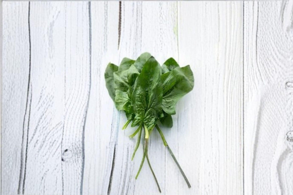 Spinach – Viroflay 100 Seeds | Classic French Spinach | Large Smooth Leaves | Cold Hardy & Productive