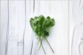 Spinach – Viroflay 100 Seeds | Classic French Spinach | Large Smooth Leaves | Cold Hardy & Productive