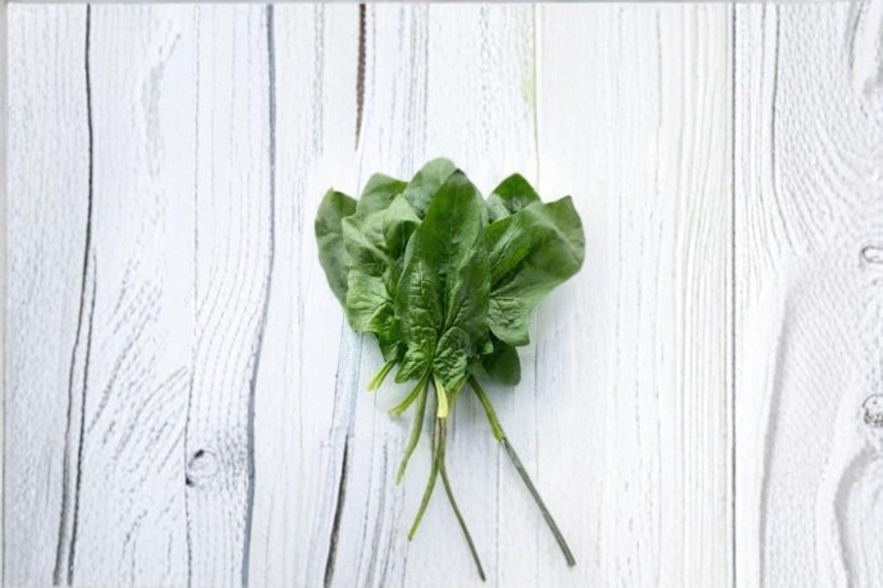 Spinach – Viroflay 100 Seeds | Classic French Spinach | Large Smooth Leaves | Cold Hardy & Productive