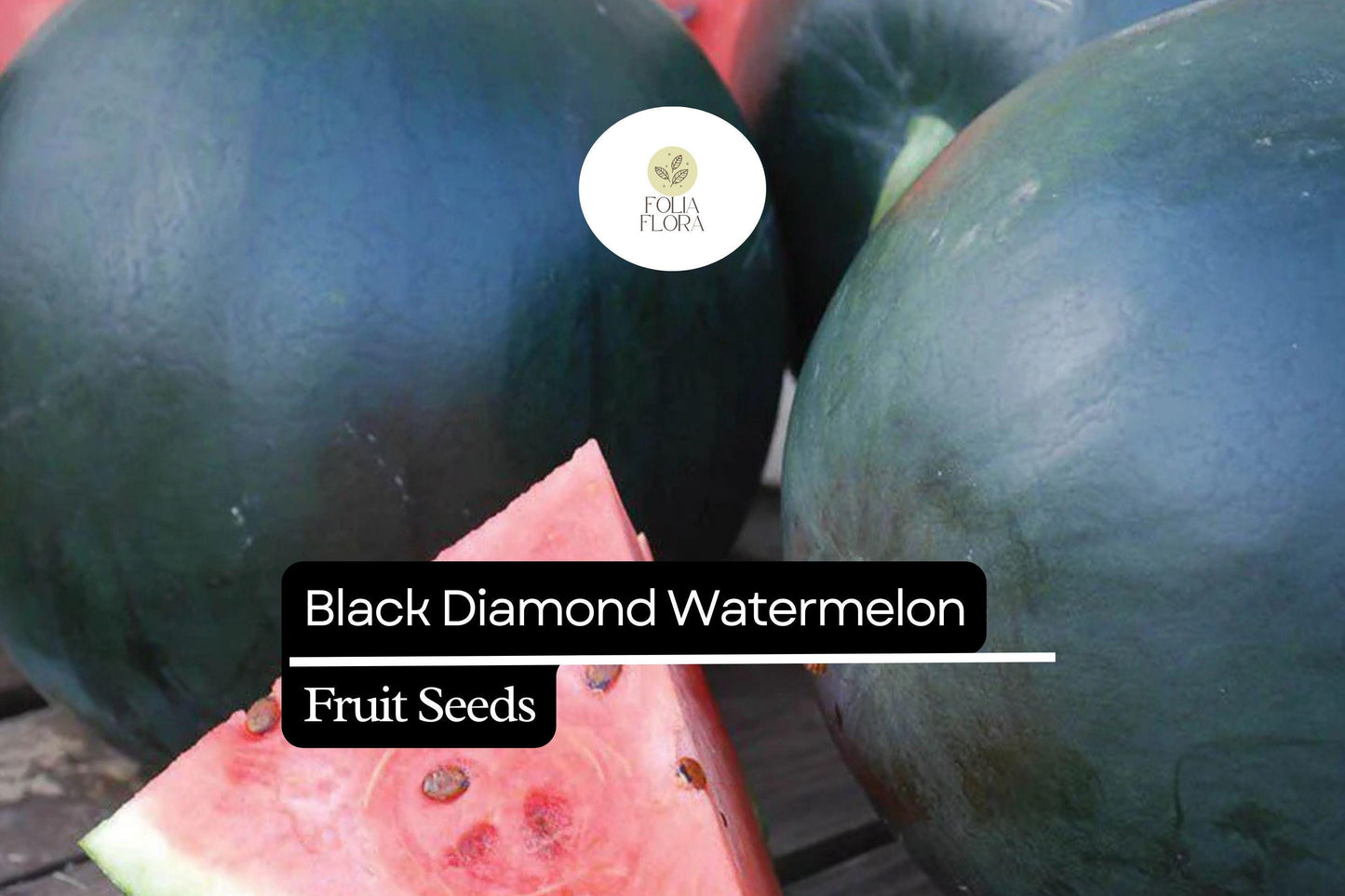 10 Seeds Black Diamond Watermelon (Citrullus lanatus) – Sweet, Large, and Juicy Melons