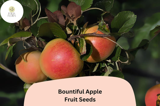 25+ Bountiful Apple Seeds – Malus domestica Heirloom Fruit Tree Seeds for Home Orchards