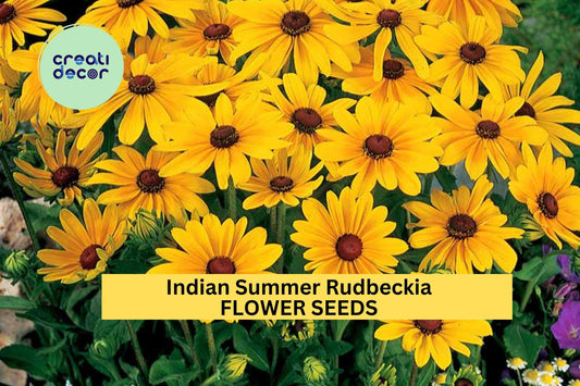 200+ Indian Summer Rudbeckia Seeds – Giant Golden Blooms for Garden Planting, Long-Lasting Perennials for Borders & Beds – USA