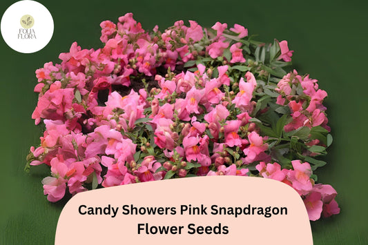 Candy Showers Pink Snapdragon Seeds (Antirrhinum majus) | 1000+ Seeds | Cascading Pink Blooms for Gardens & Hanging Baskets