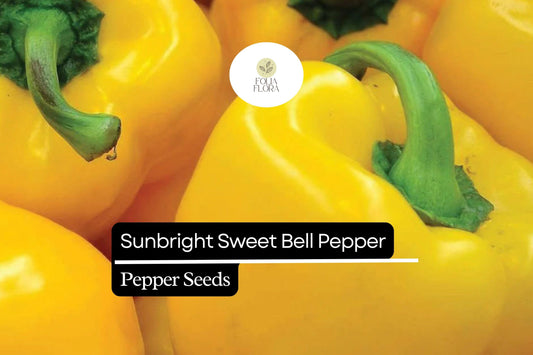 20 Sunbright Sweet Bell Pepper Seeds – Capsicum annuum – Yellow Bell Pepper, Non-GMO, Heirloom, Mild & Sweet Flavor