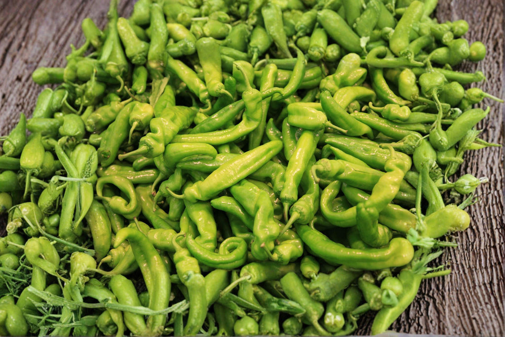Pepperoncini – Italian Sweet Pepper 25 Seeds | Classic Italian Pepper | Mild & Tangy | Perfect for Pickling