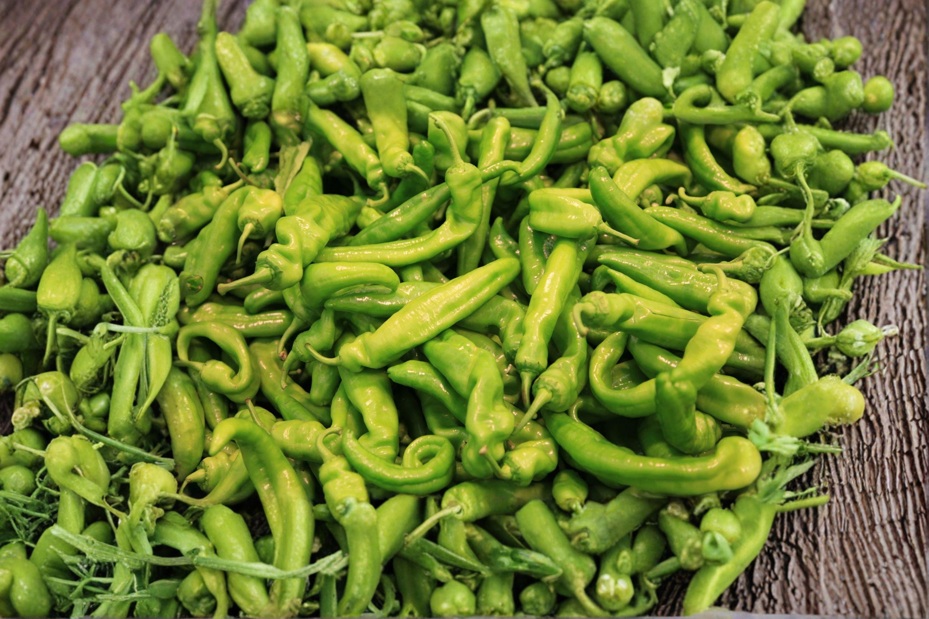 Pepperoncini – Italian Sweet Pepper 25 Seeds | Classic Italian Pepper | Mild & Tangy | Perfect for Pickling