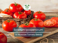 100 mg VR Moscow Tomato Seeds - Solanum lycopersicum | Heirloom Disease-Resistant Tomato for Planting, Gardening & Slicing