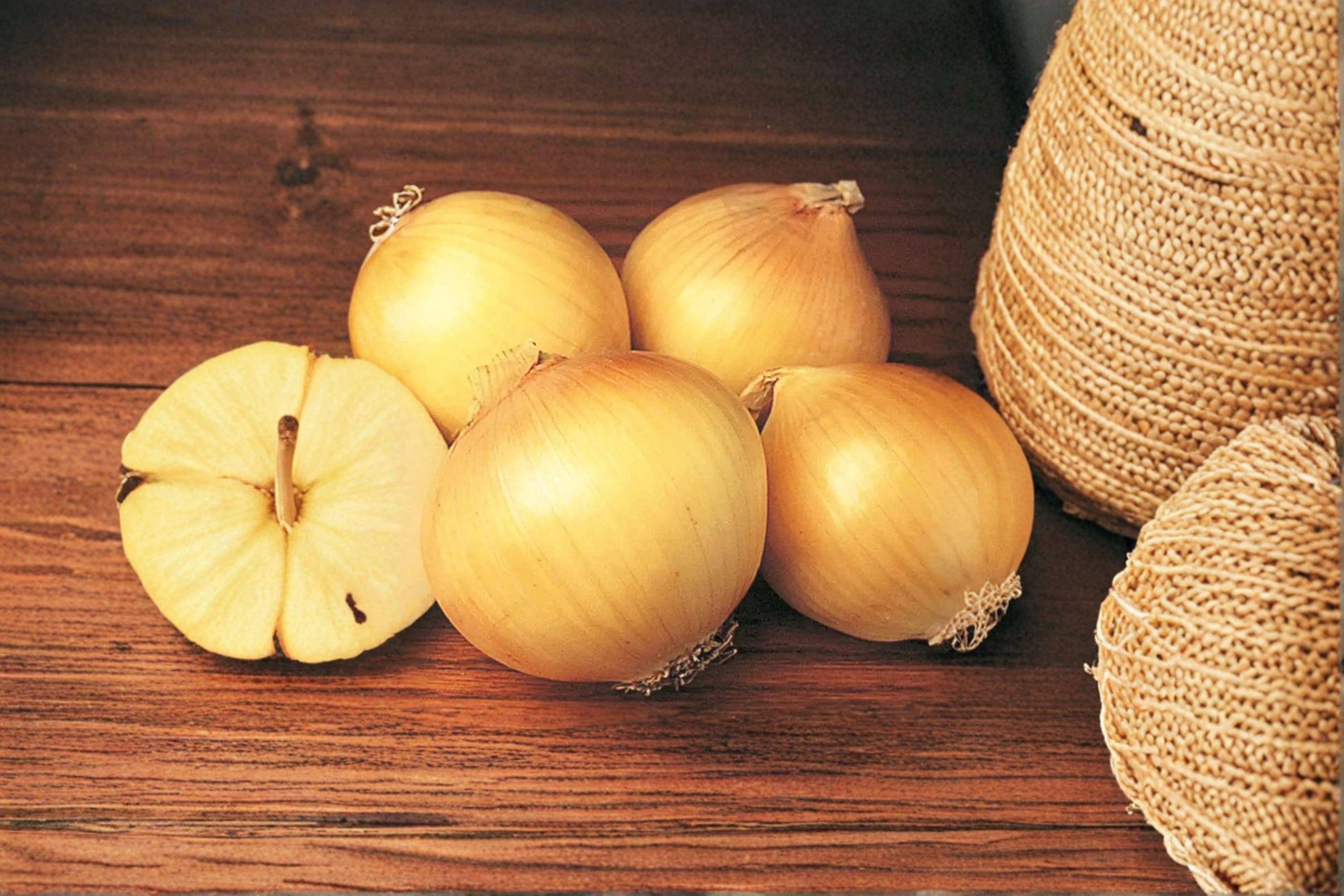 Onion – Sweet Spanish Colorado #6 - 50 Seeds | Large Sweet Onion | Yellow Storage Type | Excellent Flavor & Size