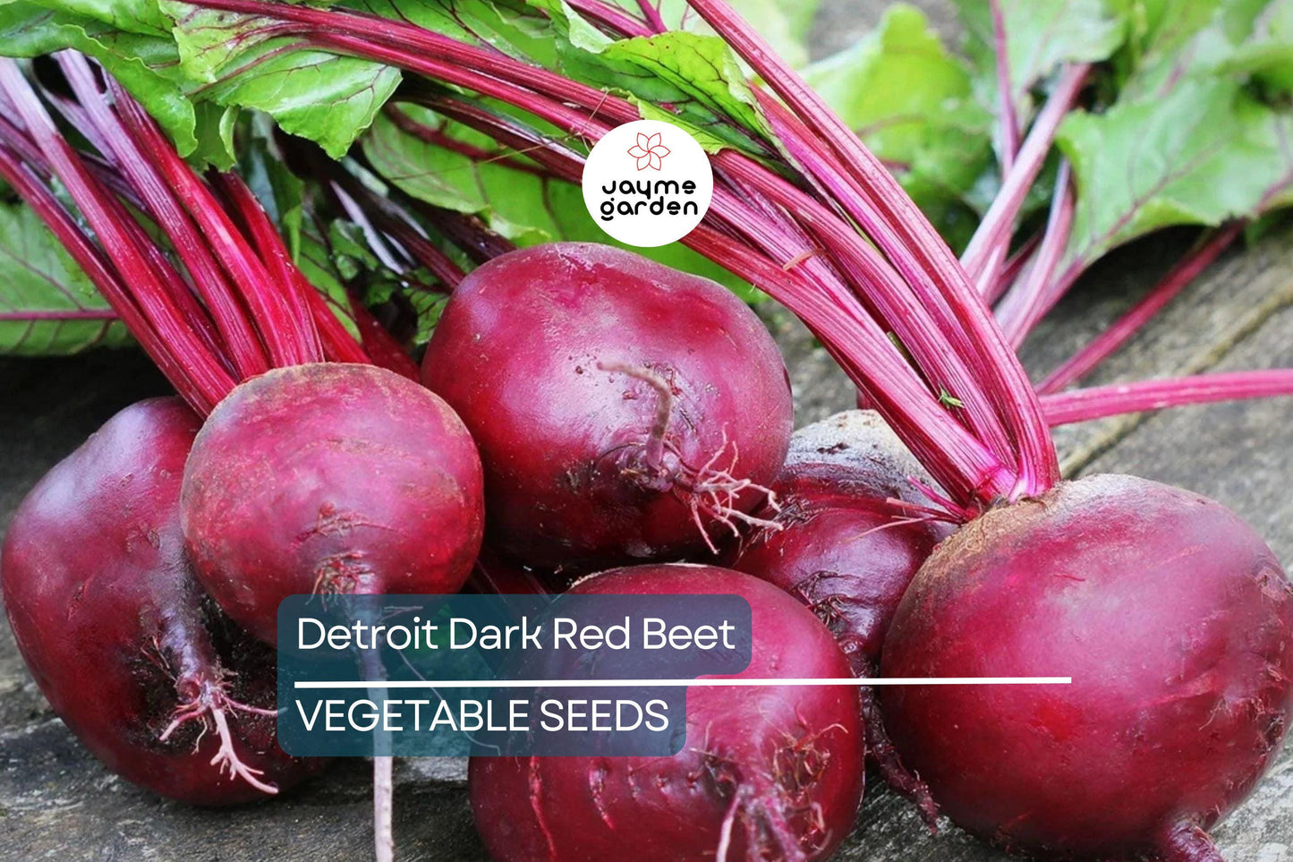 250 Detroit Dark Red Beet Seeds - Non-GMO Heirloom | Sweet & Nutritious Roots and Greens | Full Sun | Free Shipping