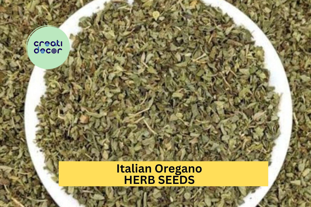 3pcs of 100mg Italian Oregano Seeds – Classic Culinary Herb for Pizza, Pasta, and Mediterranean Garden Planting