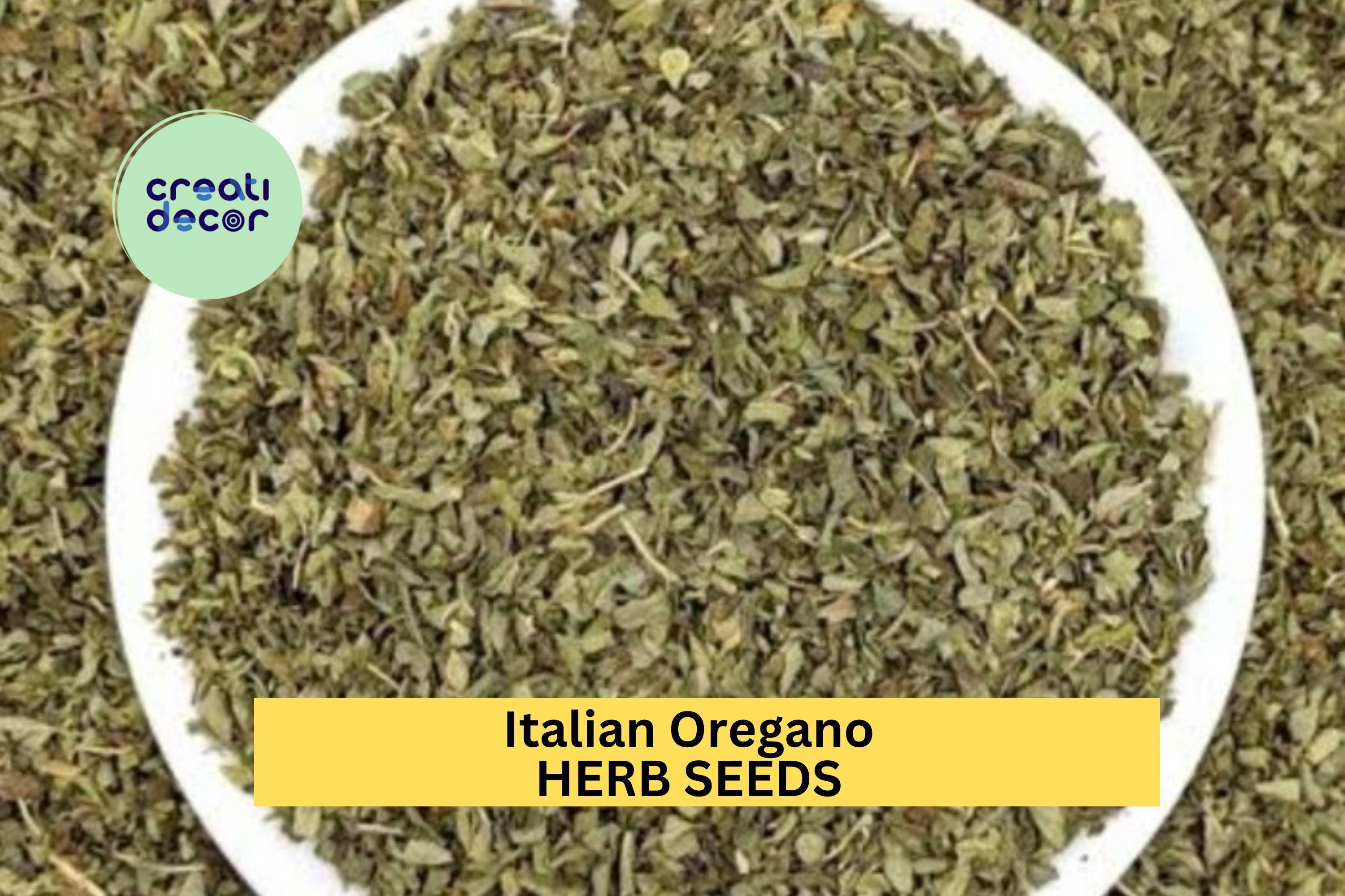 3pcs of 100mg Italian Oregano Seeds – Classic Culinary Herb for Pizza, Pasta, and Mediterranean Garden Planting