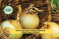 3pcs of 250mg Onion Burrell's Yellow Valencia Seeds – Sweet Heirloom Onion Seeds for Planting – Ideal for Salads & Summer Harvests