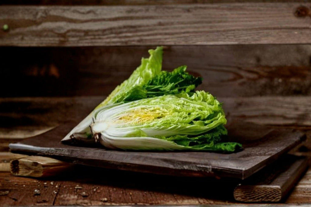 Chinese Cabbage – Kogane 150 Seeds | Asian Napa-Type Cabbage | Sweet & Crisp | Compact Early Variety