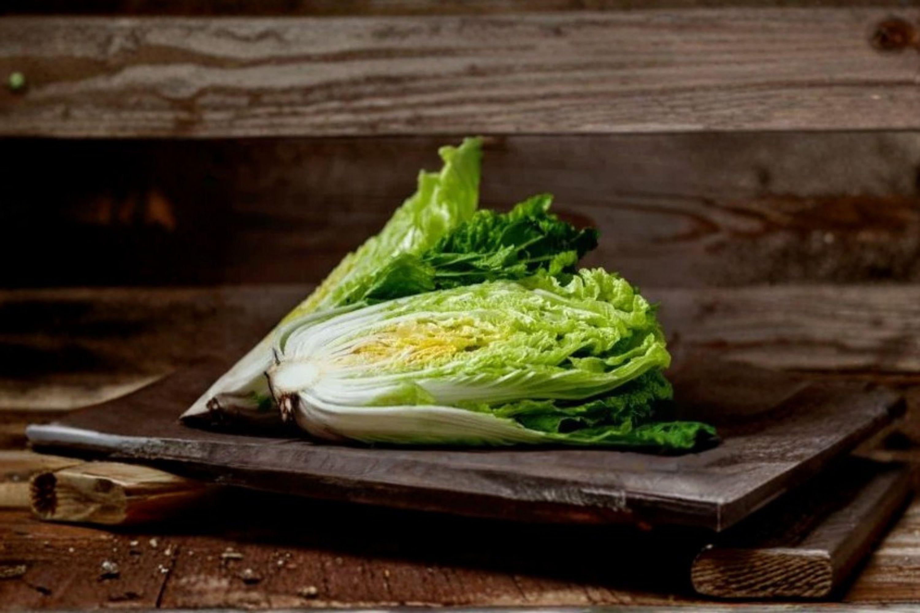 Chinese Cabbage – Kogane 150 Seeds | Asian Napa-Type Cabbage | Sweet & Crisp | Compact Early Variety