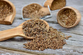 Caraway 300 Seeds | Traditional Culinary Spice | Aromatic Seeds | Hardy Biennial Herb