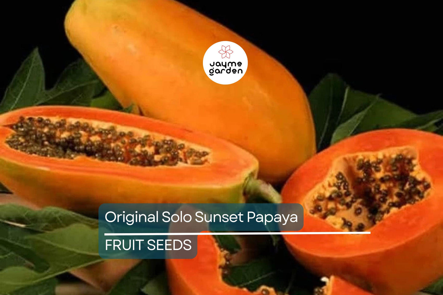 25 Solo Sunset Papaya Seeds – Sweet Red/Pink Fruit, Fast-Growing, Bears in 9 Months, Tropical & Container Friendly, Free Shipping!