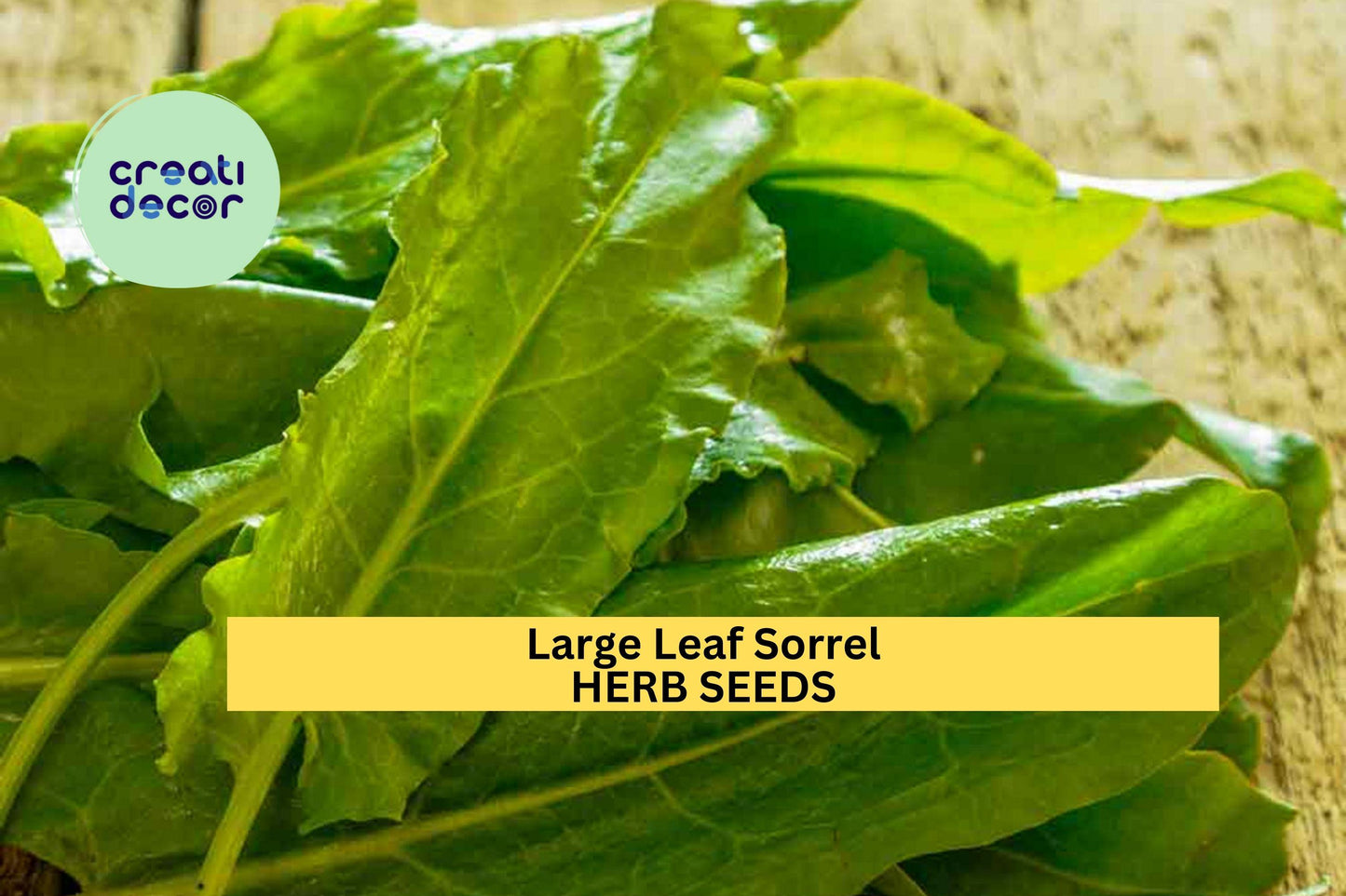 3pcs of 250mg Large Leaf Sorrel Seeds – Tangy Culinary Herb for Salads, Sauces & Soups – Fast Growing Herb Seeds for Planting