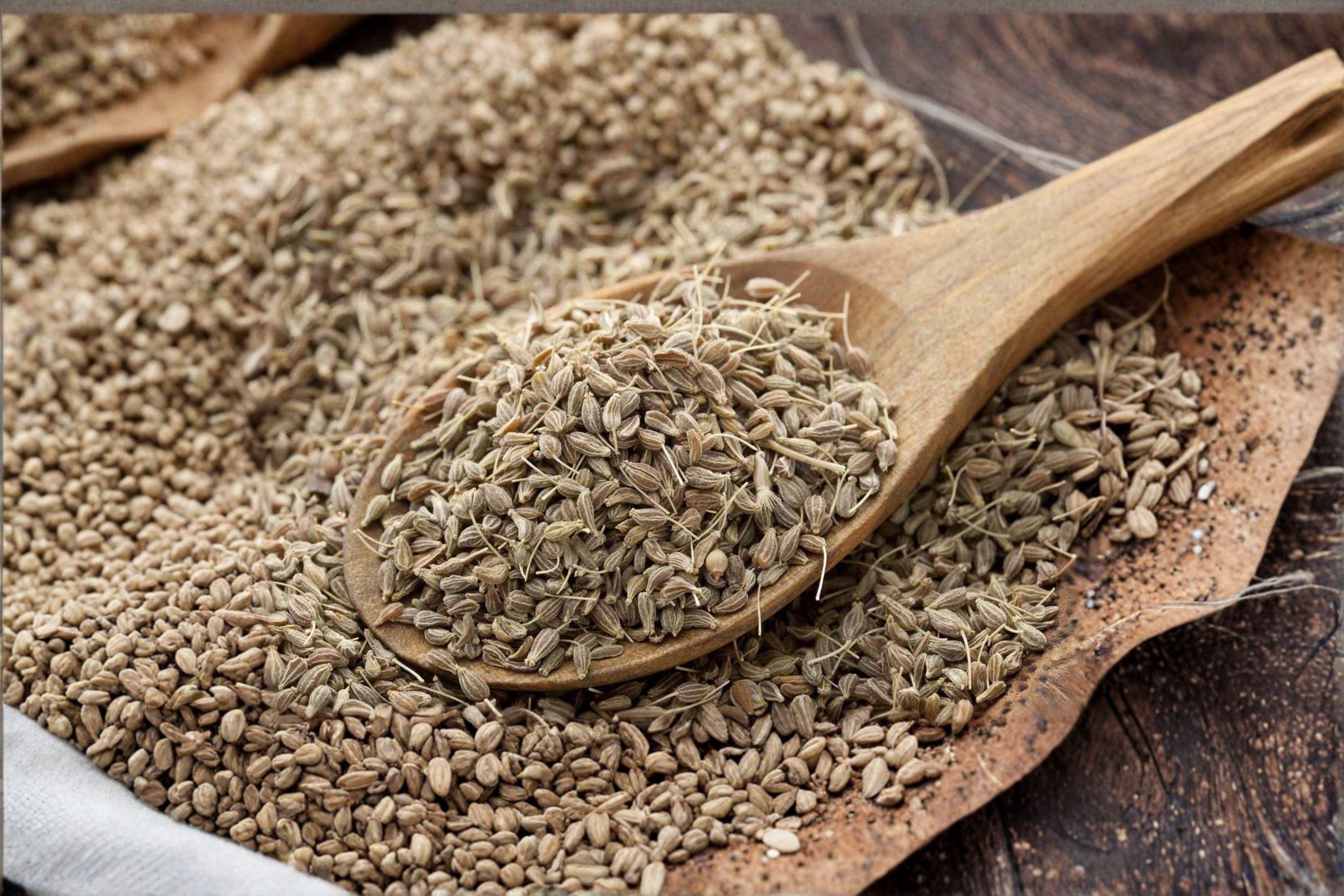 Anise – Herb 100 Seeds | Aromatic Culinary Herb | Licorice Flavor | Classic Baking & Tea Herb
