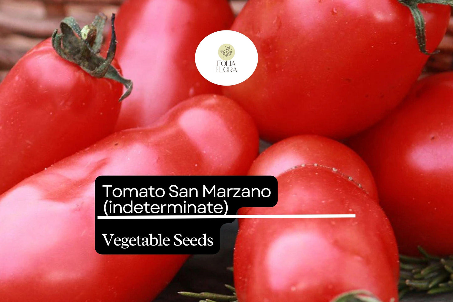 30 Seeds San Marzano Short Vine Tomato, Lycopersicon Esculentum, Indeterminate Heirloom Variety