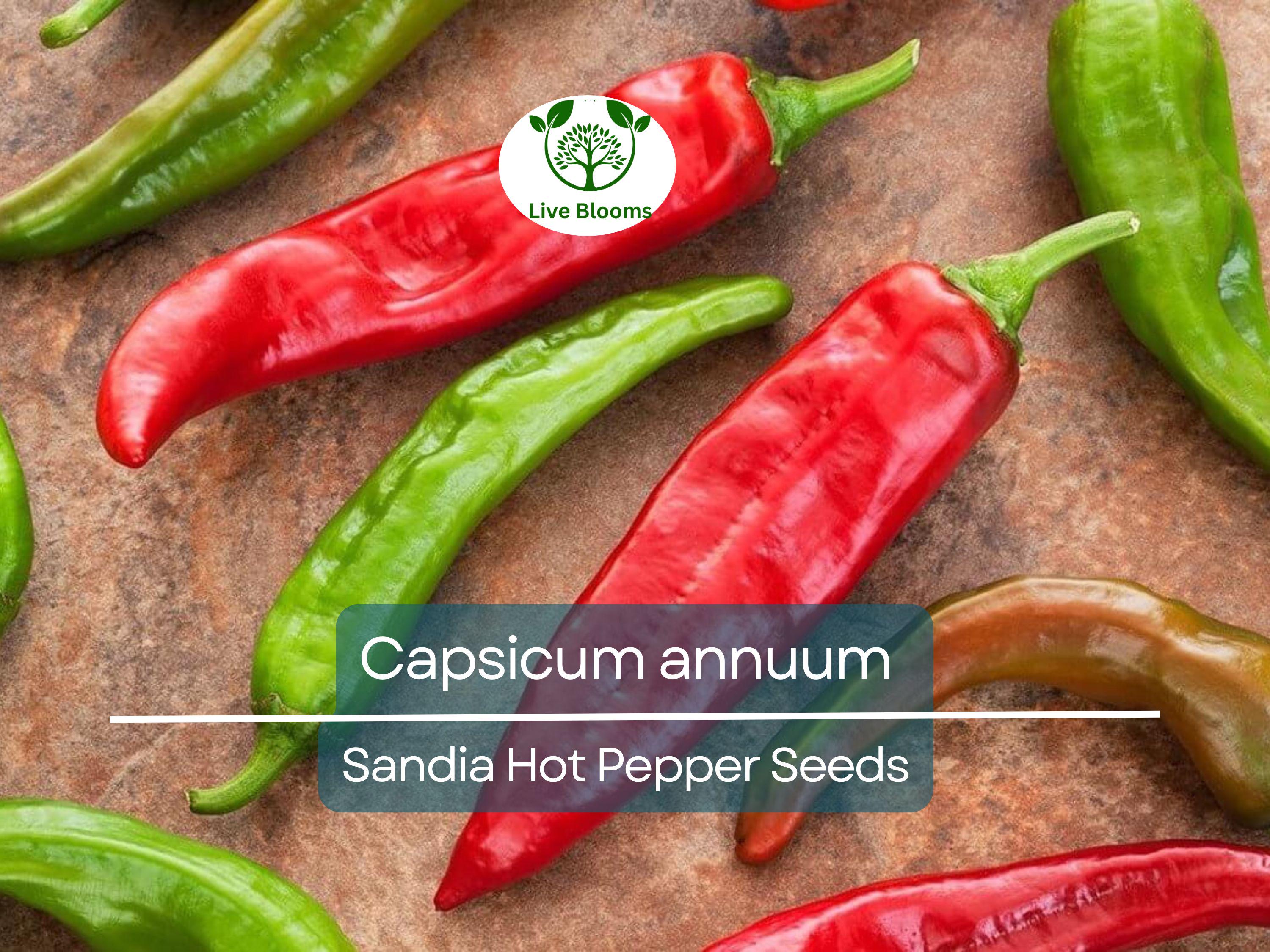 250 mg Sandia Hot Pepper Seeds - Capsicum annuum | New Mexican Heirloom for Planting, Spicy Chili Pepper for Salsas, Cooking, & Home Gardens