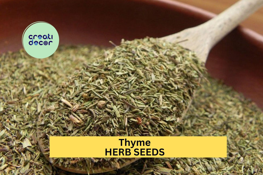3pcs of 100mg Thyme Seeds – Aromatic Culinary Herb for Containers, Borders, Rock Gardens, and Kitchen Garden Planting Seeds for Planting