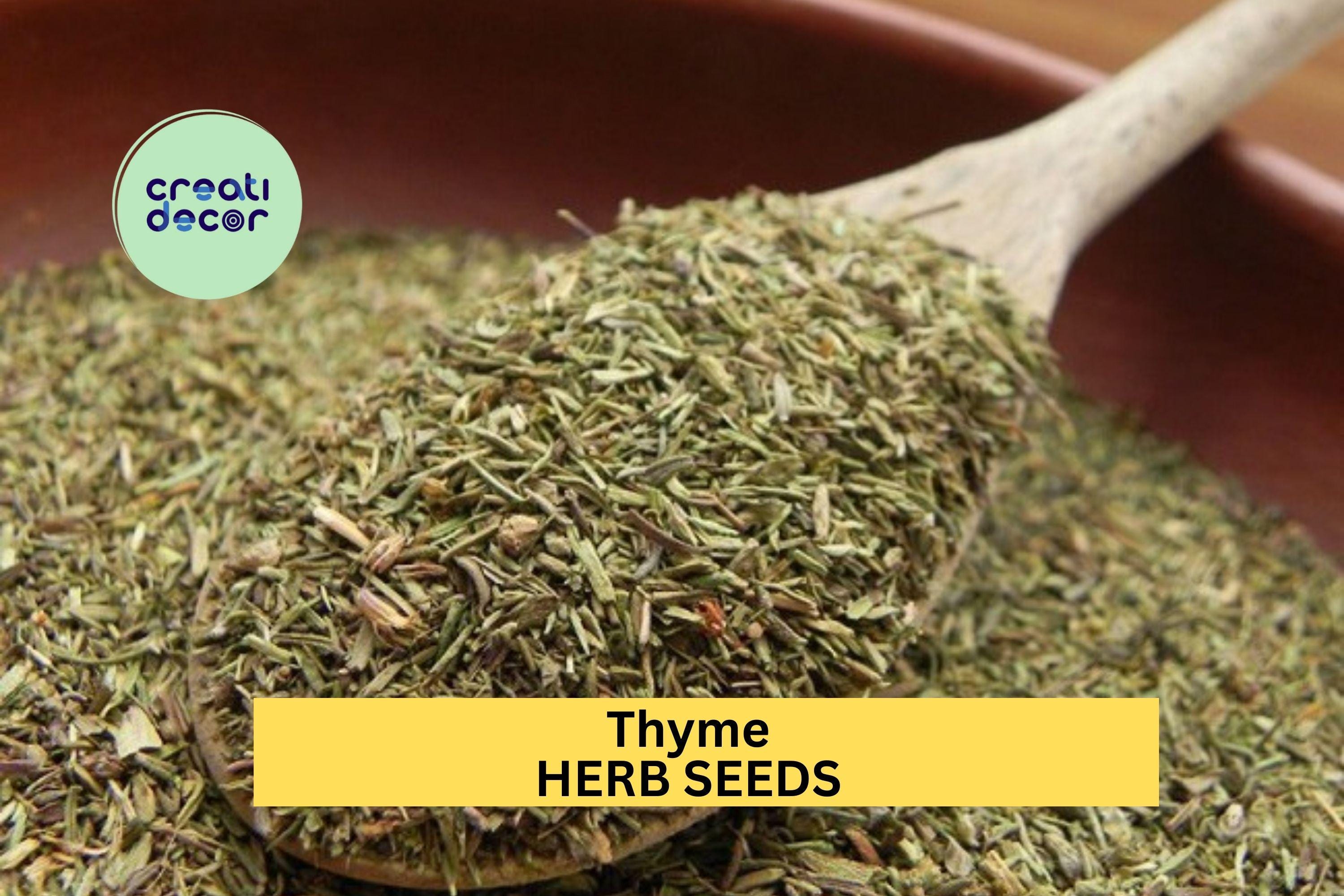 3pcs of 100mg Thyme Seeds – Aromatic Culinary Herb for Containers, Borders, Rock Gardens, and Kitchen Garden Planting Seeds for Planting