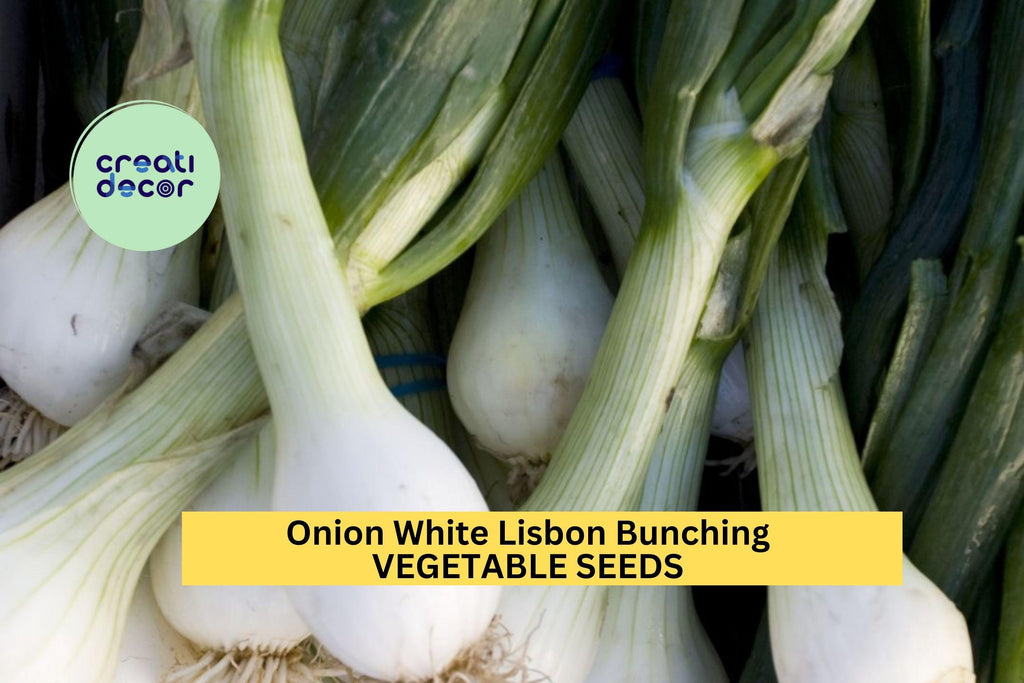3pcs of 250mg Onion White Lisbon Bunching Seeds – Mild Green Onion Seeds for Planting – Fast-Growing Scallions for Home Gardens