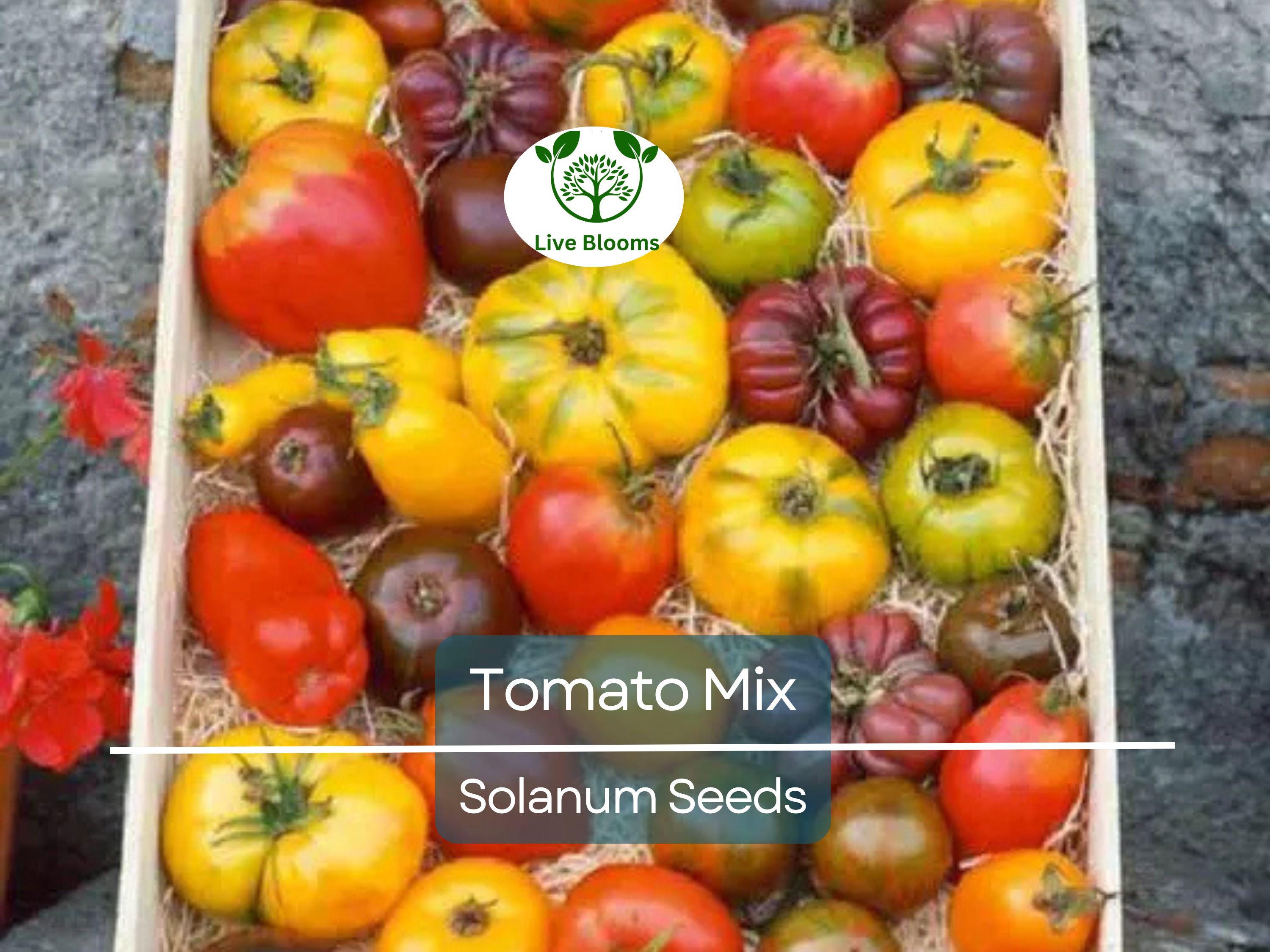 100 Heirloom Tomato Mix Seeds – Colorful Open-Pollinated Varieties | Lycopersicon esculentum | Non-GMO | Bright & Flavorful