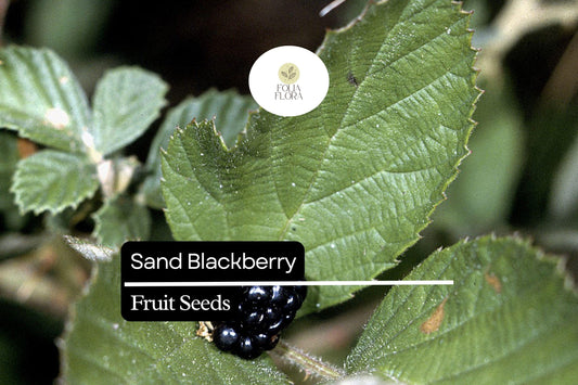 25 Sand Blackberry Seeds (Rubus cuneifolius) | Wild Native Bramble Bush for Edible Fruits | Rare Southeastern USA Blackberry