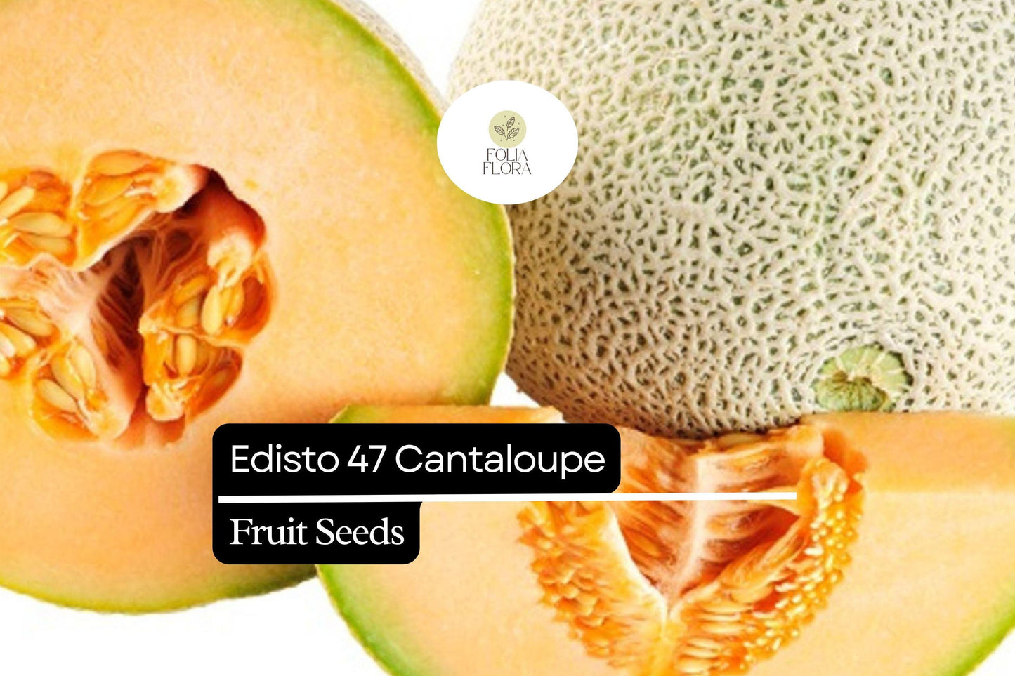 20 Seeds Edisto 47 Cantaloupe (Cucumis melo) – Sweet, Heat-Tolerant Heirloom Melon Variety
