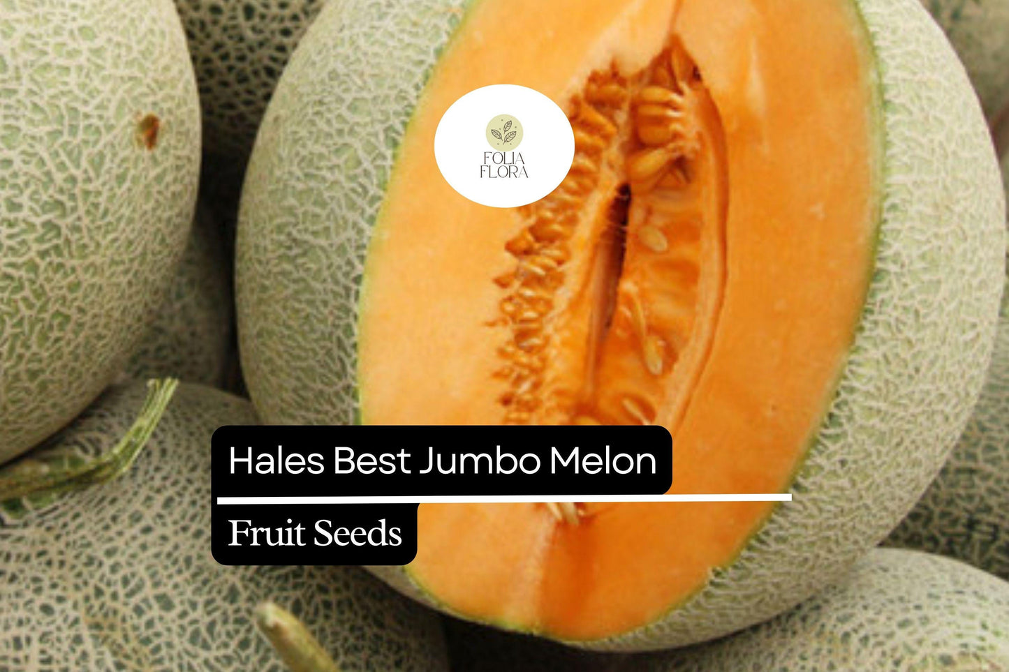 20 Seeds Hales Best Jumbo Cantaloupe, Cucumis Melo, Sweet & Juicy Melon