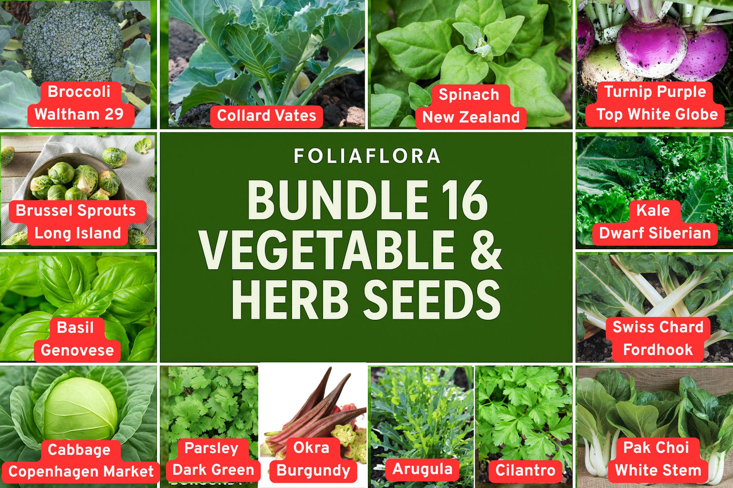 BUNDLE of 16 Vegetable & Herb Seeds – Kale, Basil, Cabbage, Spinach and More for Home Gardening