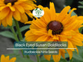 100 Seeds Black Eyed Susan Goldilocks Rudbeckia Double Blooms - Rare, Non-GMO, Perennial, Vibrant Flowers, Pollinator-Friendly