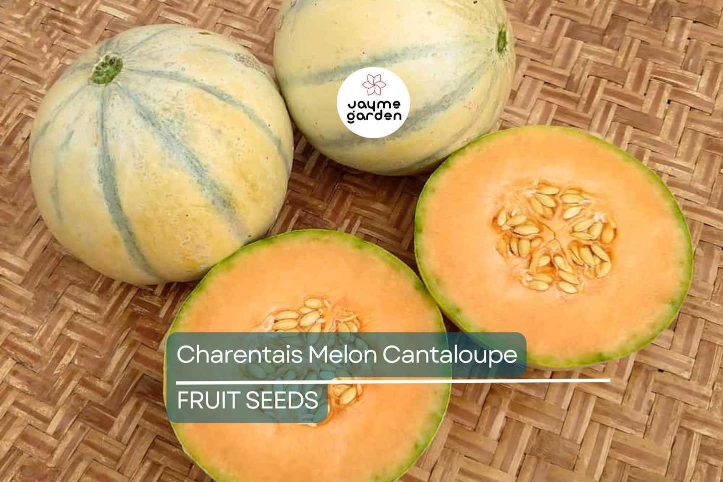 10 Charentais Melon Seeds - Heirloom French Cantaloupe - Organic - Non-GMO - Sweet & Fragrant - Rare Garden Fruit