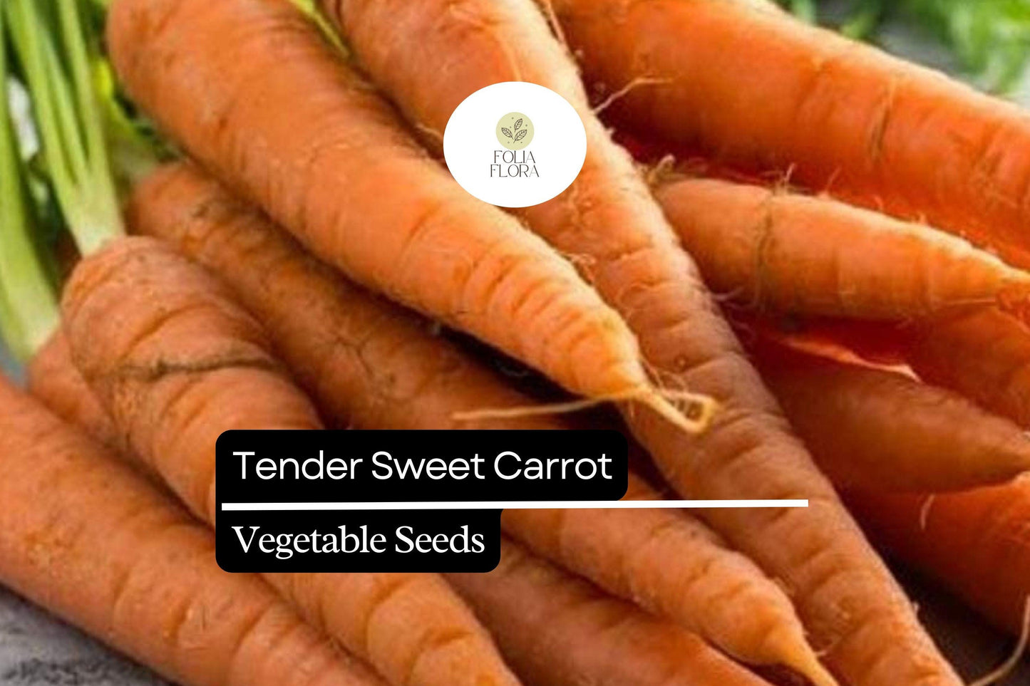 300 Tender Sweet Carrot Seeds – Daucus carota – Extra Sweet, Crisp Texture, Heirloom, Non-GMO, Perfect for Juicing