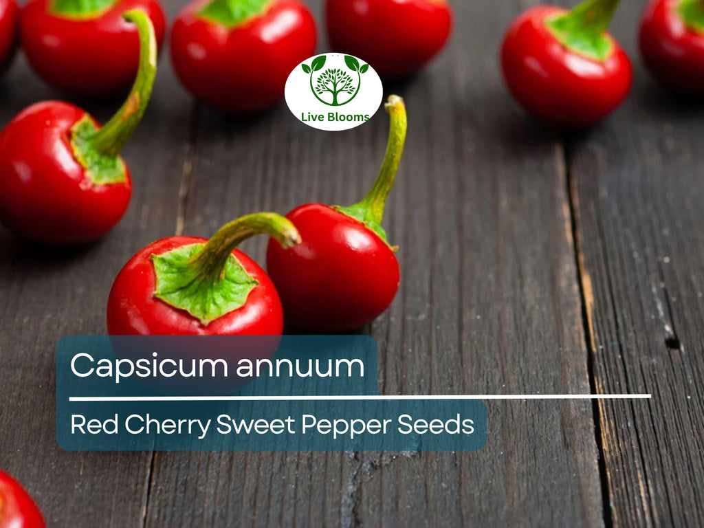 250 mg Red Cherry Sweet Pepper Seeds - Capsicum annuum | Heirloom Sweet Pepper for Planting, Home Garden & Culinary Use, Small Round Peppers