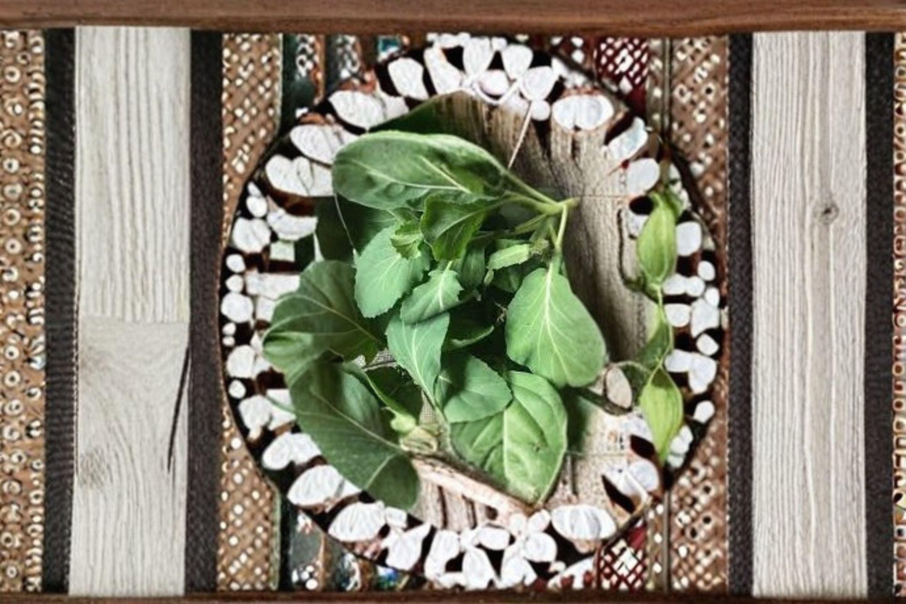 Wan Shen Kailan/Chinese Broccoli – 150 Seeds | Asian Greens | Tender Stems | Open-Pollinated Variety