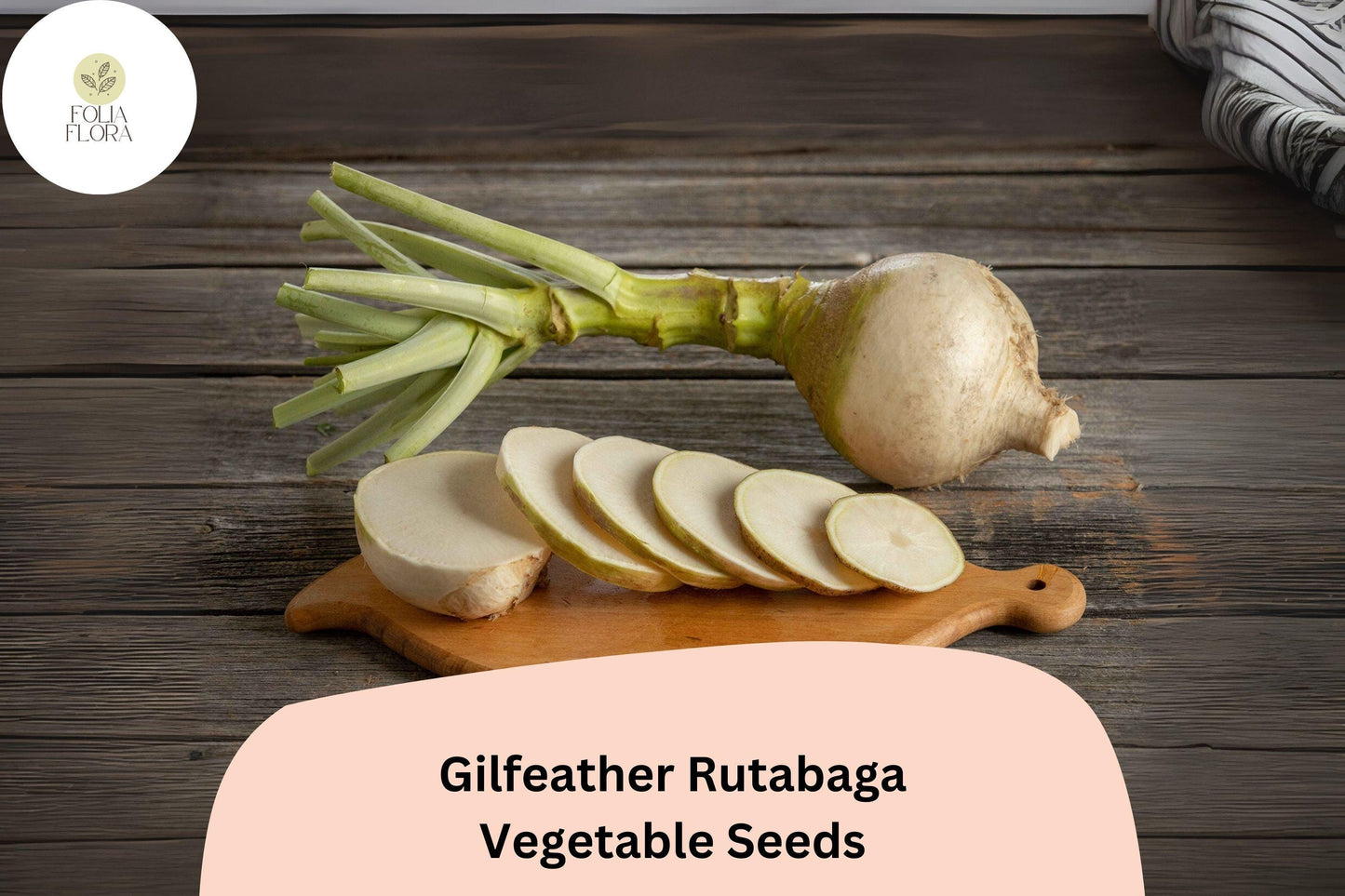 500+ Gilfeather Rutabaga Seeds – Heirloom Vermont Root Vegetable Seeds for Garden Planting