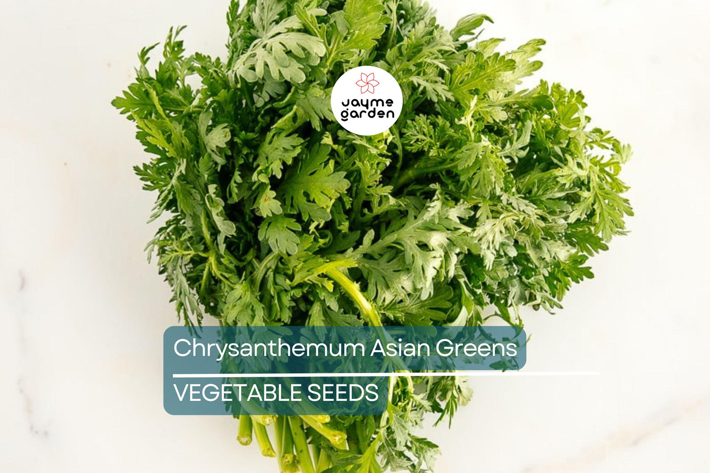 500 Shungiku Seeds - Edible Chrysanthemum - Asian Greens - Tongho - Choy Suy - Garland Chrysanthemum - Cool Season Salad Green