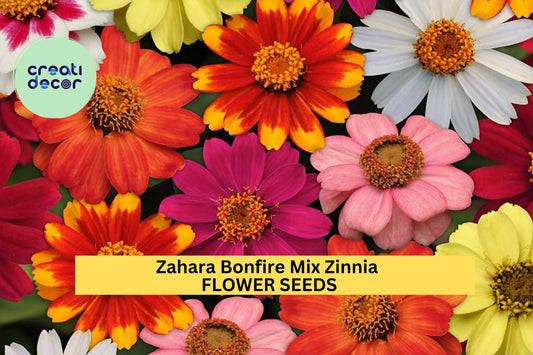 100+ Zahara Bonfire Mix Zinnia Seeds – Fiery Red, Orange & Yellow Blooms for Garden Planting, Heat-Tolerant Annuals – USA