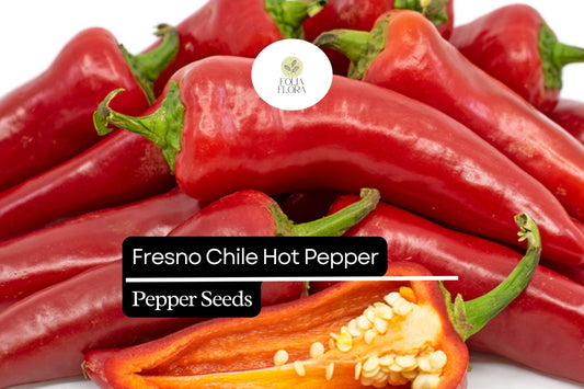 250mg Fresno Chile Hot Pepper Seeds Capsicum annuum | Medium Heat Chili, Fresh or Dried, Non-GMO, Heirloom Variety for Salsas & Cooking