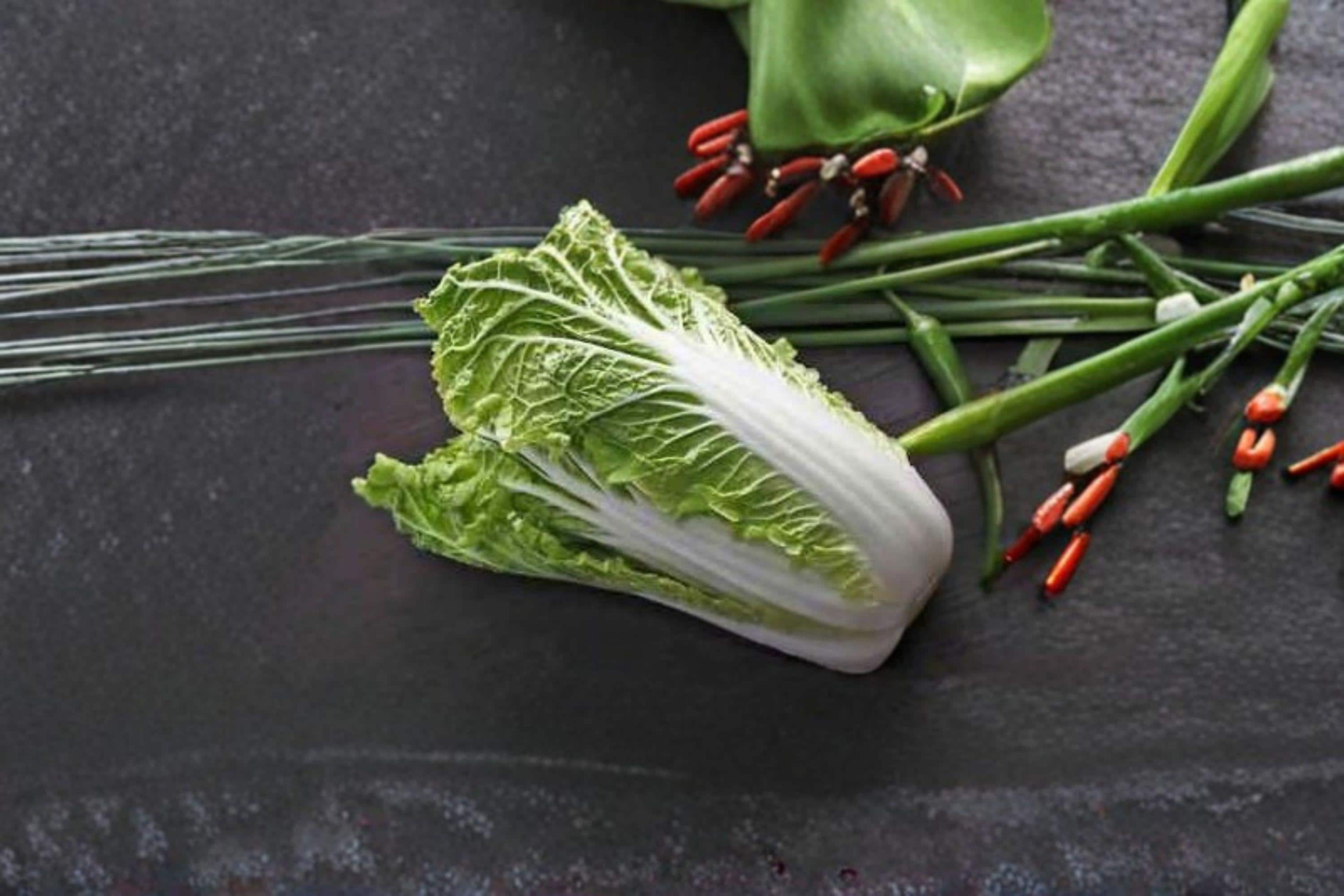 Chinese Heading Cabbage – Michihli 150 Seeds | Asian Napa-Type Cabbage | Tall Barrel-Shaped Heads | Crisp & Mild Flavor