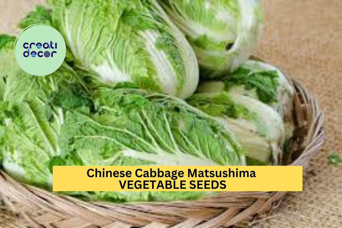 3pcs x 500mg Matsushima Chinese Cabbage Seeds – Brassica rapa Pekinensis for Garden Beds, Containers, or Raised Rows Seeds for Planting