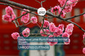 Japanese Ume Plum – 4 Cuttings, Fragrant Winter Flowers & Edible Fruits, Umeboshi and Umeshu  Can't ship to Ca, Fl, Hi, Az
