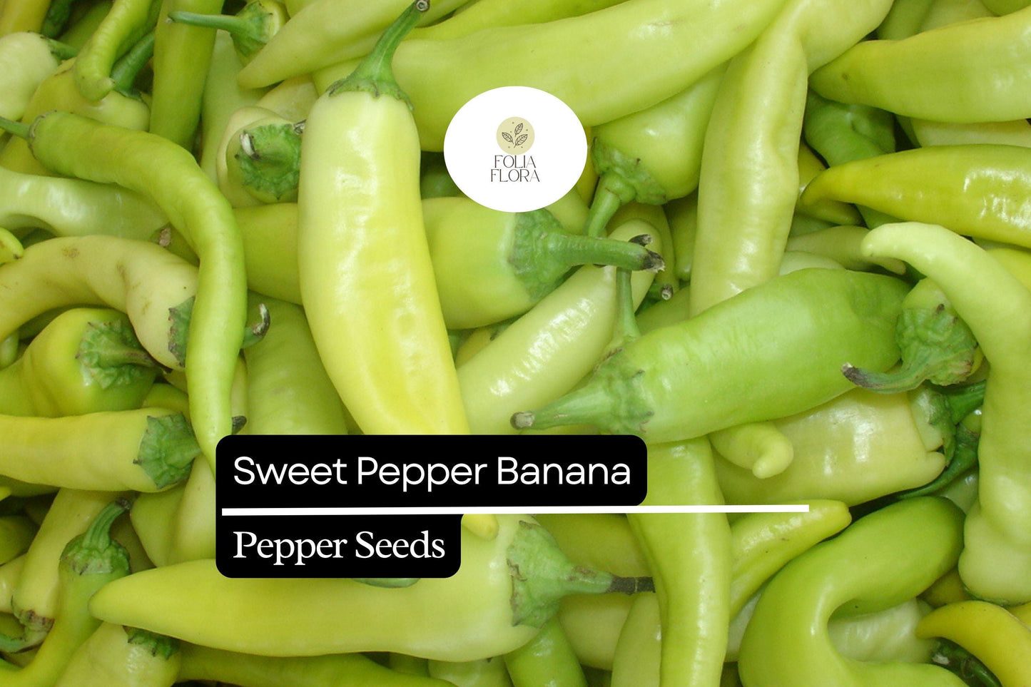 25 Sweet Banana Pepper Seeds – Capsicum annuum – Heirloom, Mild & Sweet, High-Yielding, Non-GMO