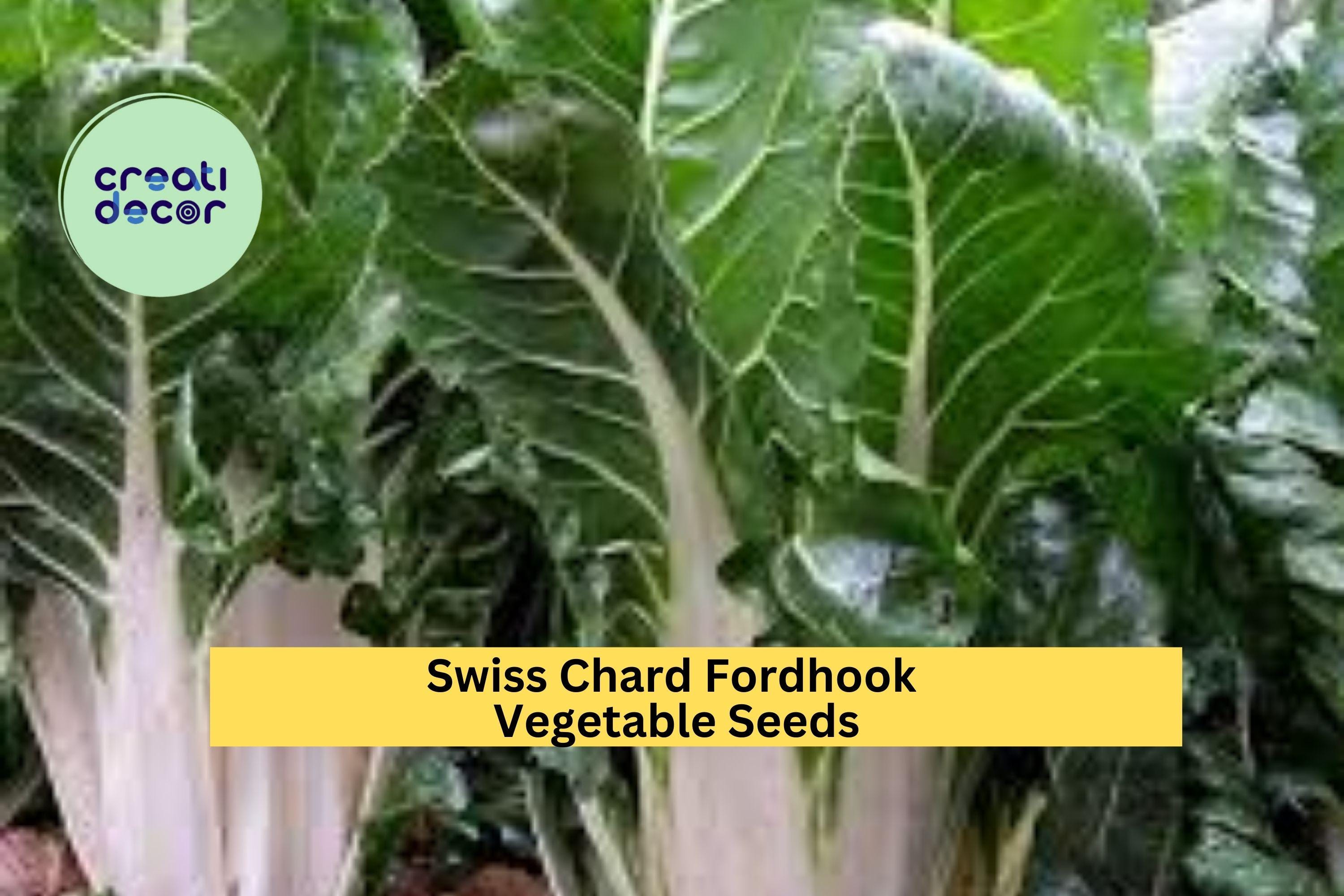 3pcs of 1g Swiss Chard Fordhook Seeds – Leafy Greens for Stir Fry, Soups & Salads, Easy to Grow Cold-Hardy Vegetable Seeds for Planting