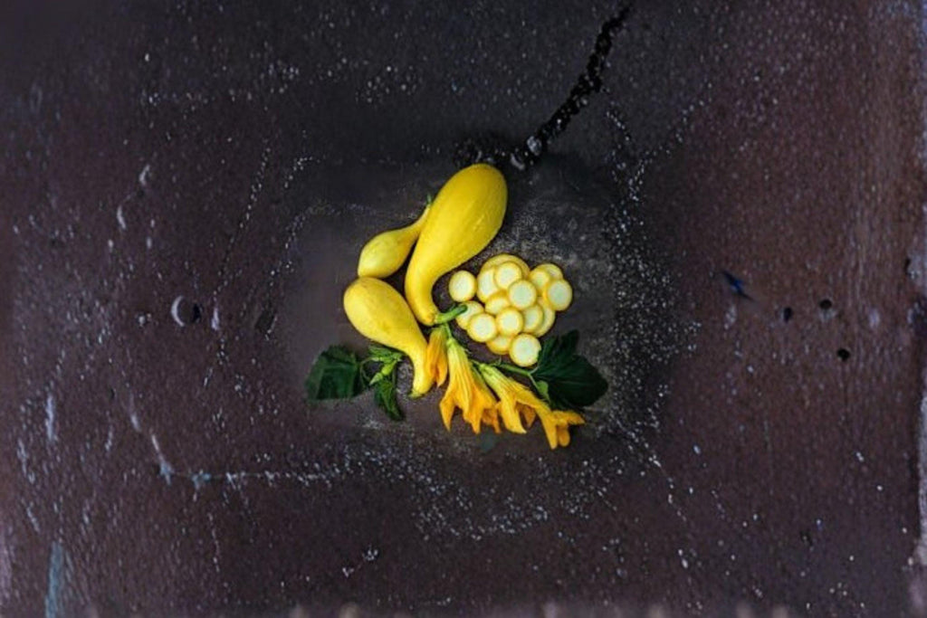 Early Summer Crookneck – Summer Squash 10 Seeds | Classic Heirloom Squash | Tender Yellow Fruit | Early & Prolific