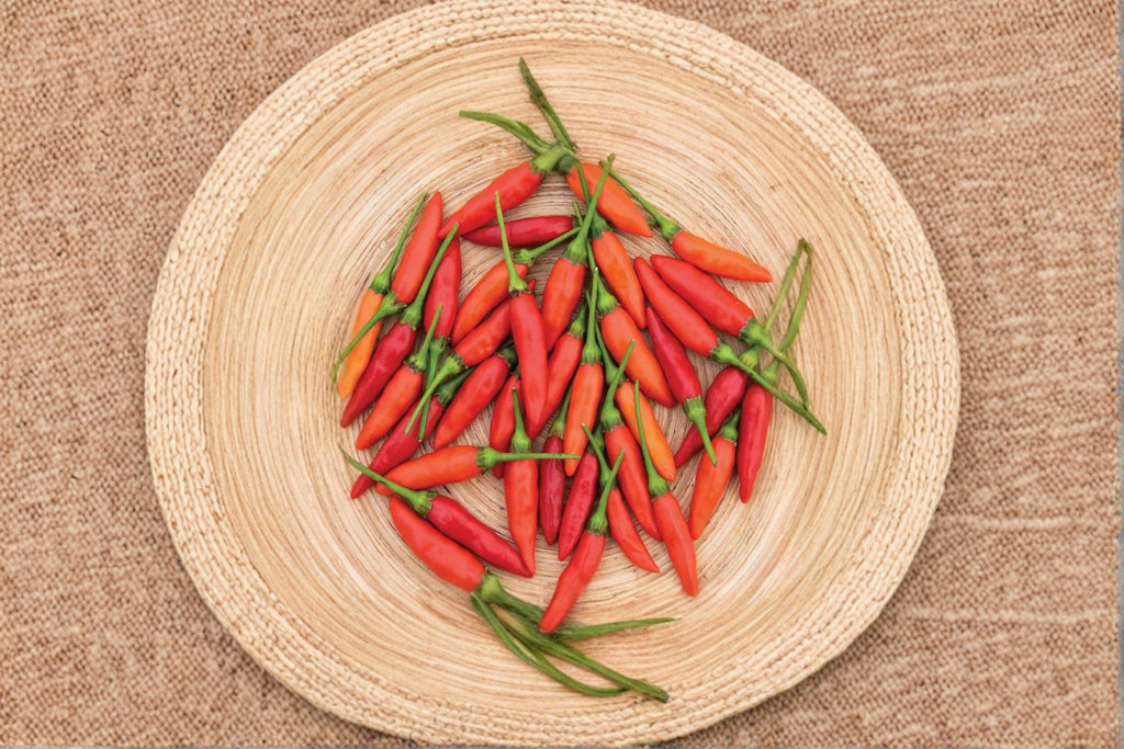 Tabasco – Hot Pepper 25 Seeds | Classic Sauce Pepper | Very Hot | Authentic Louisiana Chili