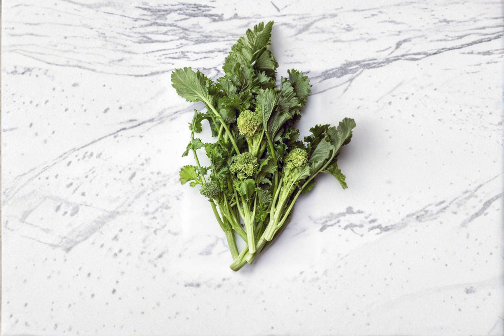 Broccoli Raab – Spring Rabe (Rapini) 150 Seeds | Italian Heirloom | Fast-Growing Greens | Bold, Savory Flavor